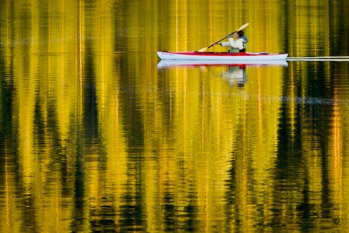 High in the mountains near Crested Butte, Colorado, a kayaker floats across the surface of a lake reflecting the bright yellow hues of aspen trees at the peak of autumn colour.