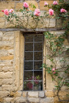 A rosebush in bloom overarches a leaded glass window of an old, stone cottage in Broadway, England, while inside, a vase of roses adorns the windowsill.