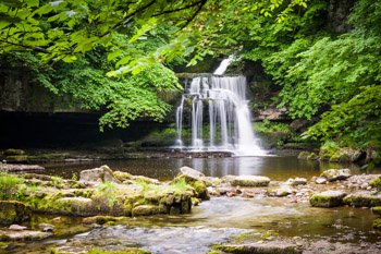 "Cauldron Falls" by Nat Coalson. Nature photograph showing a graceful waterfall amid lush greenery. Also known as West Burton Falls, this lovely waterfall is just outside the village of West Burton in the Yorkshire Dales region of England. The falls are on a stream called Walden Beck, which joins Bishopdale Beck and eventually the River Ure. Also available in black and white. Prints available in any size and on any material; for details and pricing please click the Purchase link above.