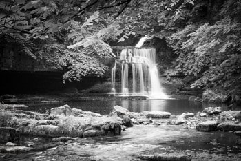 "Cauldron Falls - Black and White" by Nat Coalson. Nature photograph showing a graceful waterfall amid lush greenery. Also known as West Burton Falls, this lovely waterfall is just outside the village of West Burton in the Yorkshire Dales region of England. The falls are on a stream called Walden Beck, which joins Bishopdale Beck and eventually the River Ure. Also available in color. Prints available in any size and on any material; for details and pricing please click the Purchase link above.