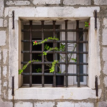 Hope Springs Eternal - Fine Art Travel Photograph of Dubrovnik, Croatia by Nat Coalson. A thorny rosebush protrudes a thick vine with a single red bloom through the ancient iron bars of a window in a rough stone wall, deep in the heart of Dubrovnik, Croatia. Prints available; for details click the Purchase link above.