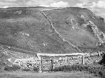 "Upon Winnats Pass" by Nat Coalson. Black and white photograph of a wooden gate and stone fences within a deep limestone gorge along Winnats Road near Castleton in the High Peak District of England. In the distance, sheep graze high atop a grassy moor. Prints available; for details click the Purchase link above.