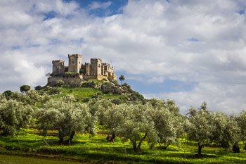 Travel Photograph: Almodovar Castle