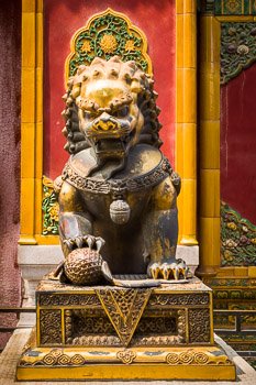 Travel Photograph: Imperial Guardian Lion (Male)