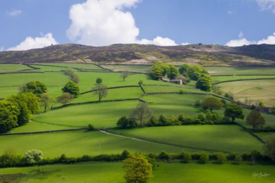 Under a brilliant blue sky studded with white, puffy clouds, sheep graze amid old stone walls, houses and barns on a lush, green hillside above Ladybower Reservoir in the Peak District of England.